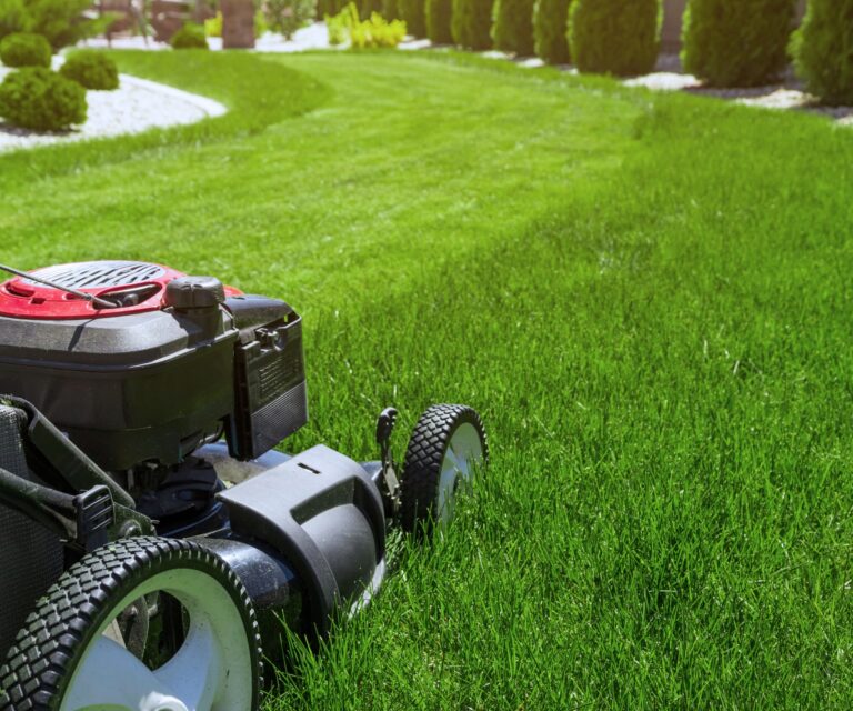lawn red mower